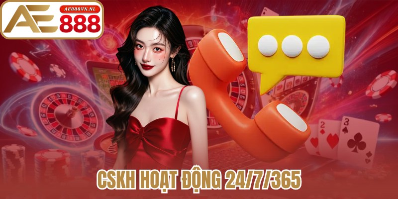 CSKH hoạt động 24/7/365