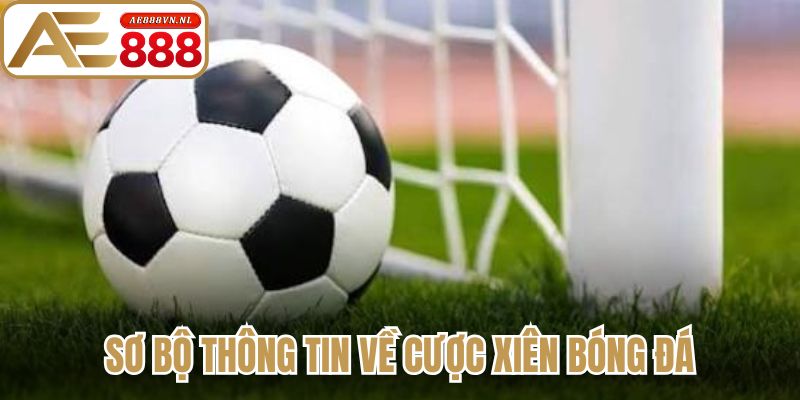Cược Xiên Bóng Đá - Bí Quyết Tối Ưu Lợi Nhuận Hiệu Quả 1 Sơ bộ thông tin về cược xiên bóng đá
