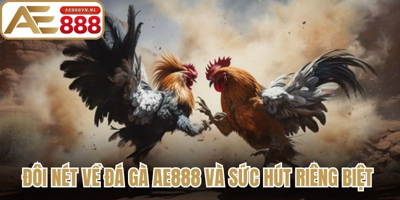 Đôi nét về đá gà Ae888 và sức hút riêng biệt