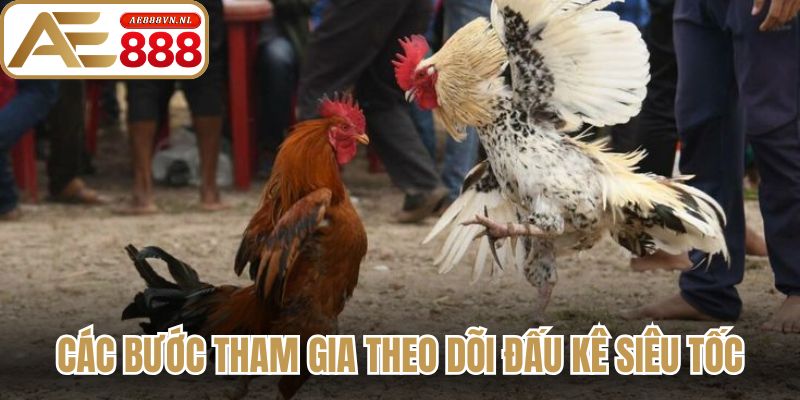 Đá Gà Trực Tiếp - Bí Quyết Theo Dõi Trận Đấu Kịch Tính 3 Các bước tham gia theo dõi đấu kê siêu tốc