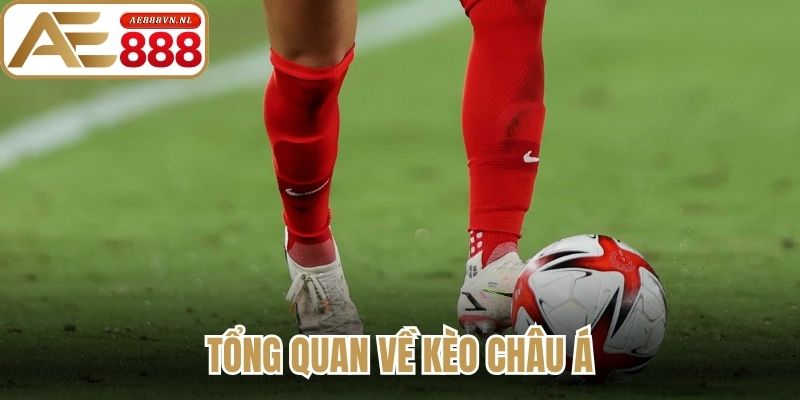 Kèo Châu Á AE888 - Hướng Dẫn Soi Kèo Chuẩn Xác Cho Bạn 1 Tổng quan về kèo Châu Á