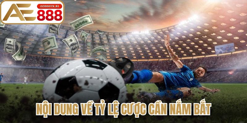 Kèo Châu Âu - Bí Quyết Soi Kèo Hiệu Quả Cho Người Mới 2 Nội dung về tỷ lệ cược cần nắm bắt