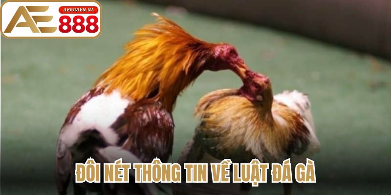 Luật Đá Gà Chi Tiết Từ Ae888 Và Những Quy Định Cần Biết 1 Đôi nét thông tin về luật đá gà