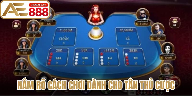 Xóc Đĩa Ae888 - Bí Quyết Đặt Cược Luôn Thắng Cho Bài Thủ 2 Nắm rõ cách chơi dành cho tân thủ cược